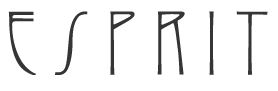 Esprit Cables logo