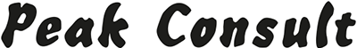 Peak Consult logo