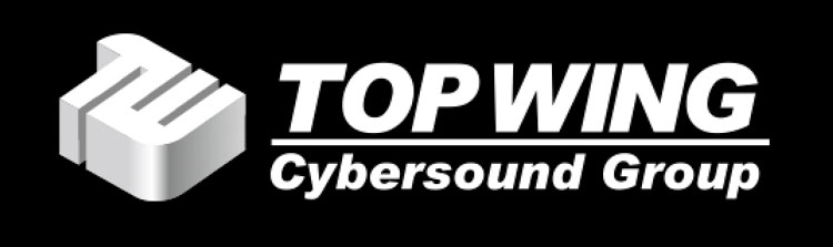 TOP WING logo